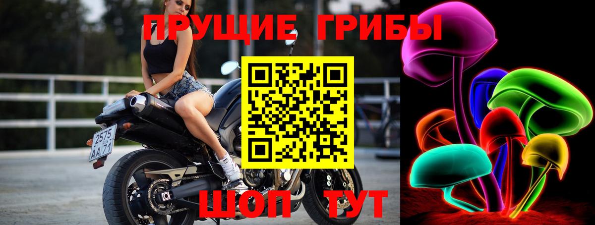наркота  Вход с VPN  Арсеньев  Псилоцибиновые грибы ЛСД  Галлюциногенные грибы GOLDEN TEACHER 